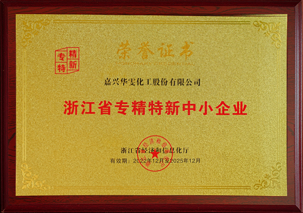浙江省专精特新中小企业