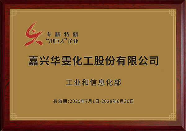 国家专精特新小巨人